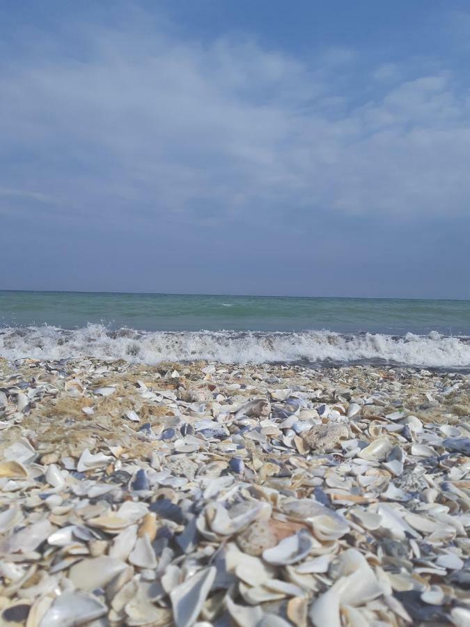 Apus De Soare * Mamaia
